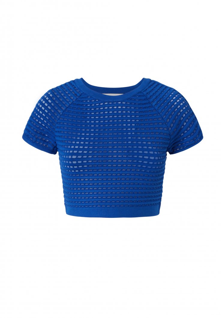 Blue iconic crop top 